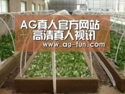 环境展示五