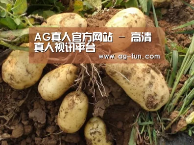 种植基地六