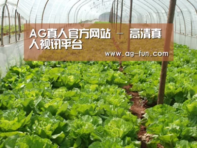 种植基地五