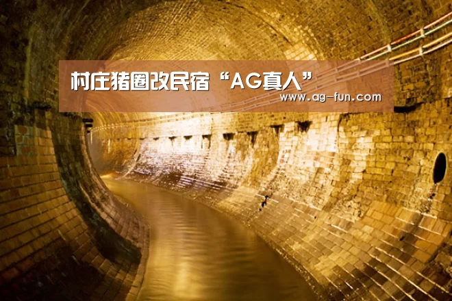AG娱乐