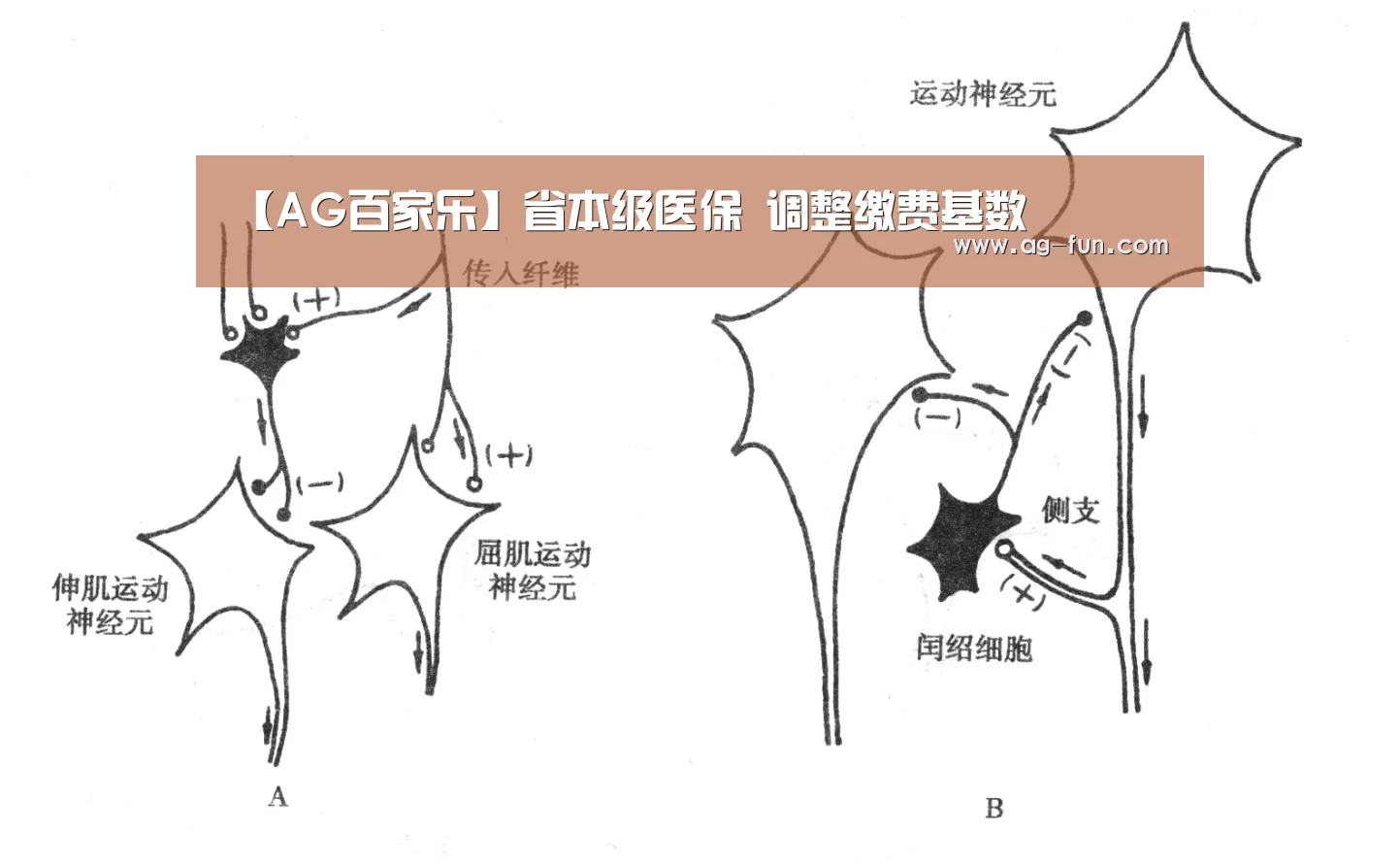 【AG百家乐】省本级医保 调整缴费基数(图1) AG百家乐